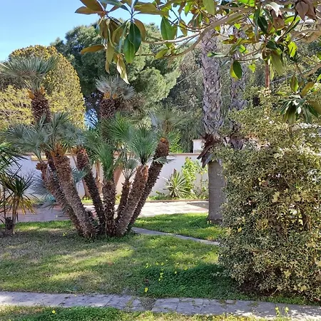 Villa A Due Passi Dal Mare Marina18 Lendinuso Extérieur photo