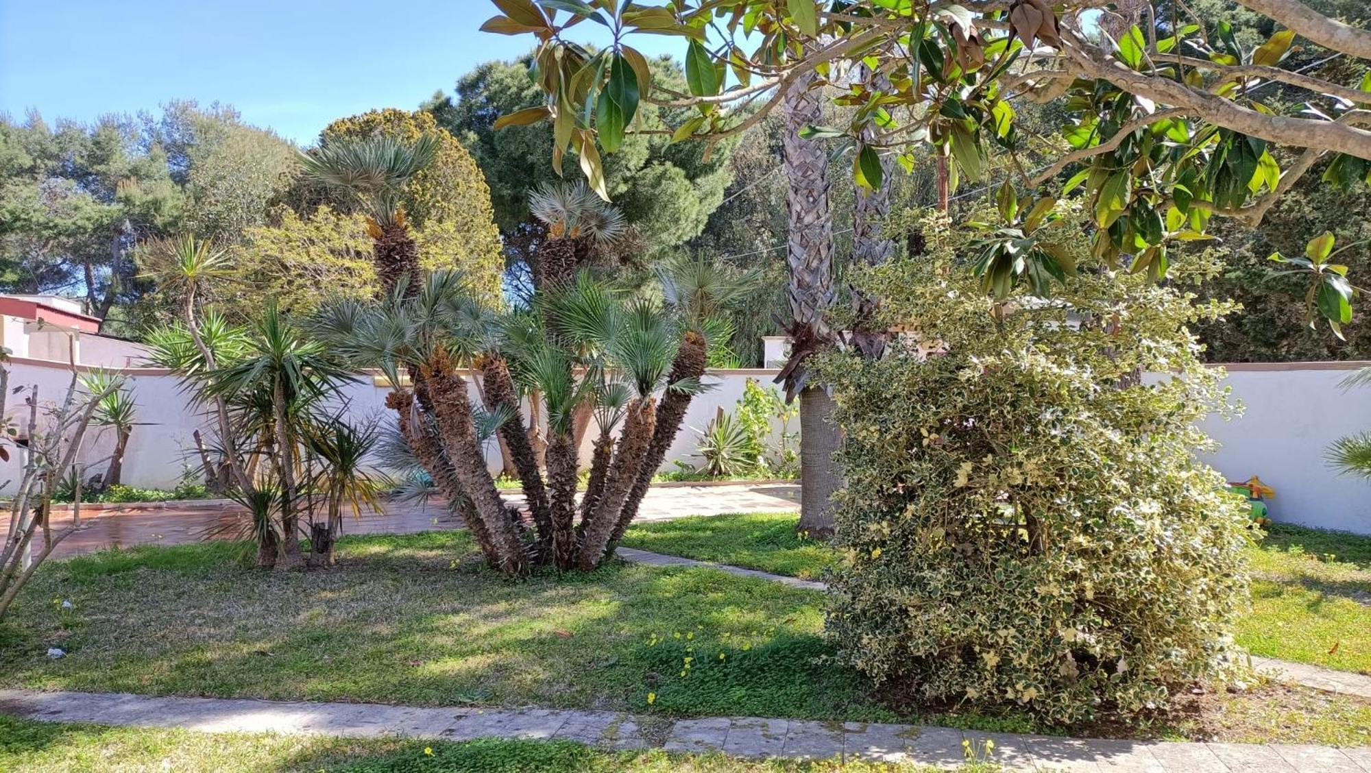 A Due Passi Dal Mare Marina18 Apartment